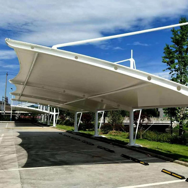 台安县膜结构汽车棚